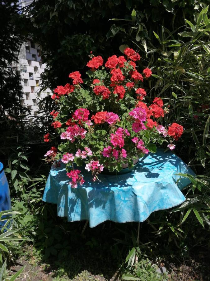 Ferienwohnung Roth Am Naturschutzgebiet Bodensee Eriskircher Ried Exteriör bild
